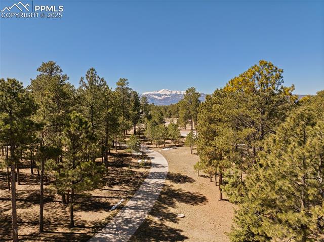 17165 Colonial Park Drive