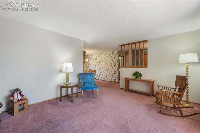 3808 Nuevo Drive