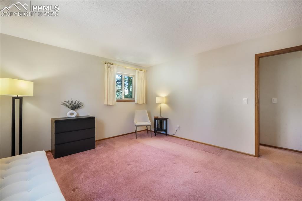 3808 Nuevo Drive