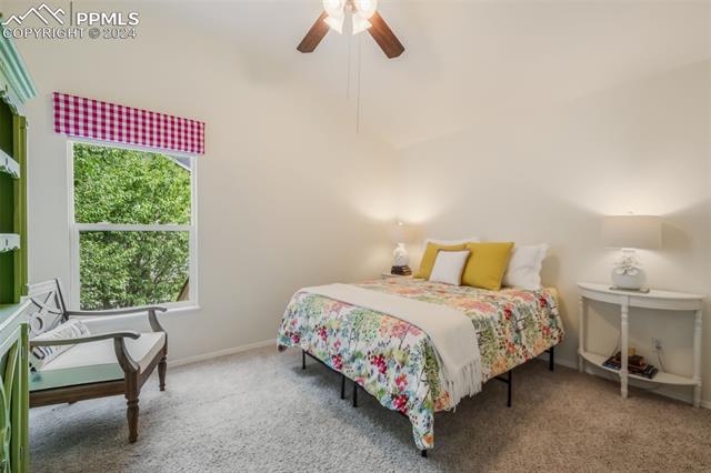 15737 Split Creek Drive