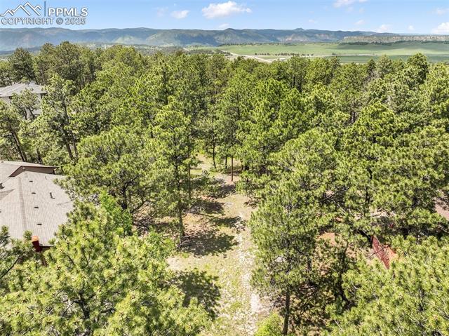 1180 Lone Scout Lookout