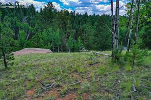 525 Spring Valley Lane