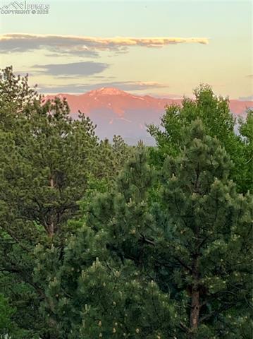 71 Crestone Circle