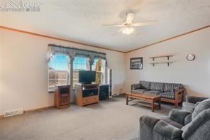 19605 Oslo Grove