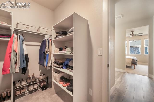 2144 Coyote Mint Drive