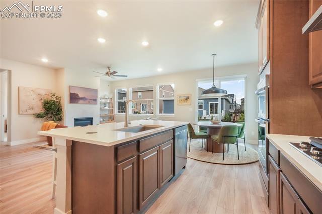 2144 Coyote Mint Drive