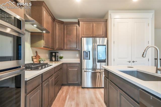 2144 Coyote Mint Drive