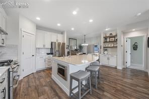 715 Sage Forest Lane