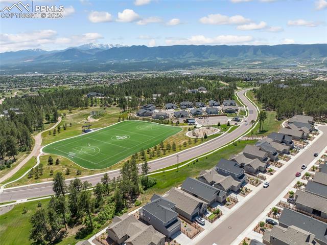 715 Sage Forest Lane