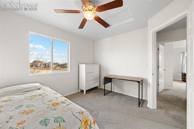 785 Mesa Creek Drive