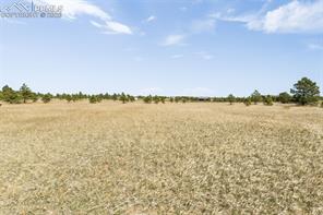 18150 Pinon Park Road