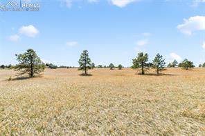 18150 Pinon Park Road