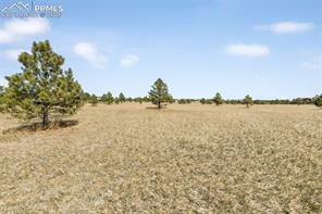 18150 Pinon Park Road