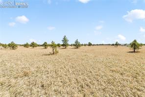 18150 Pinon Park Road