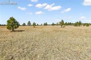 18150 Pinon Park Road