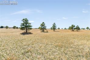 18150 Pinon Park Road