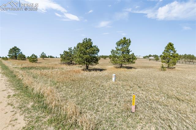 18150 Pinon Park Road