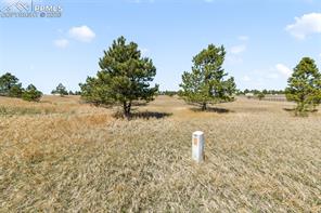 18150 Pinon Park Road