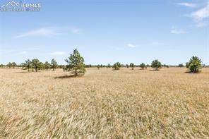 18150 Pinon Park Road