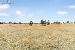 18150 Pinon Park Road