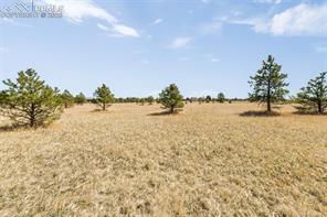 18150 Pinon Park Road