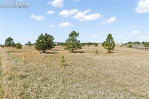 18150 Pinon Park Road