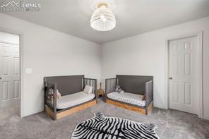 2204 Reed Grass Way