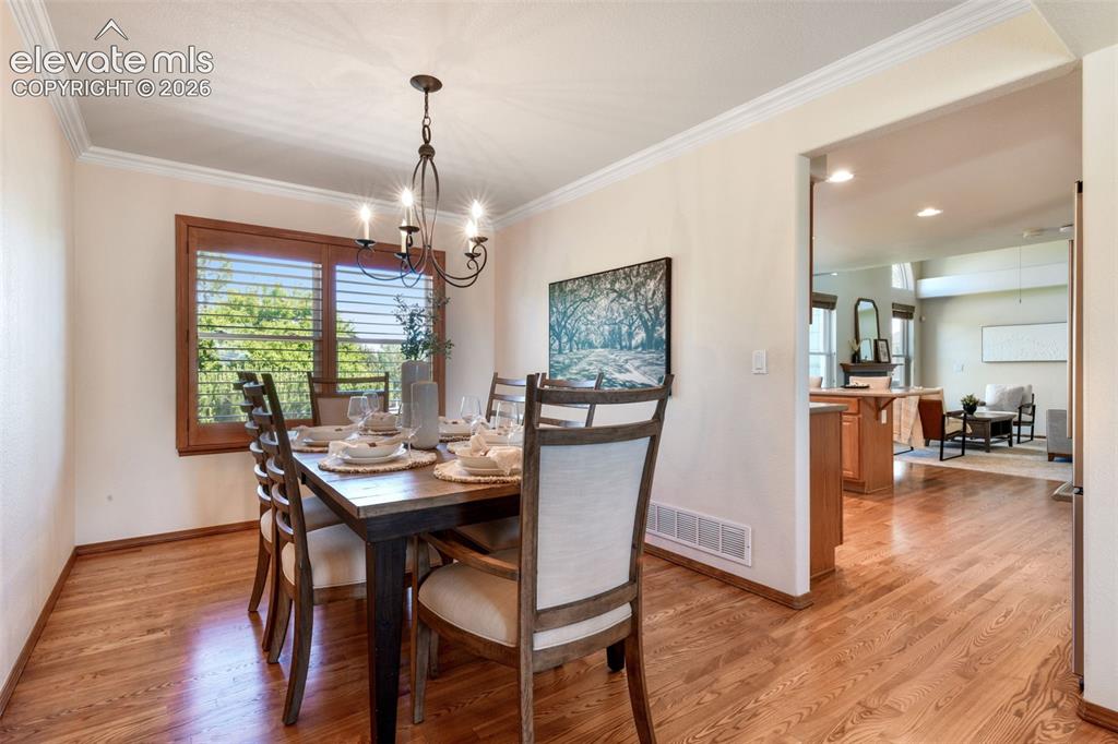 517 Talus Road