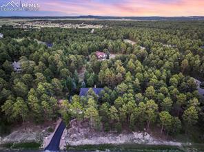 771 Piney Ridge Way