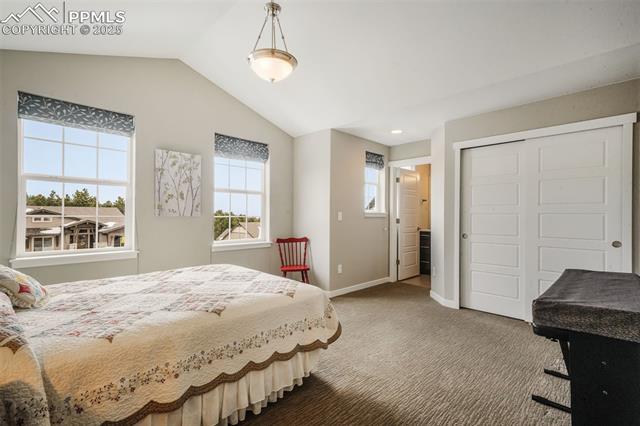 1022 Tree Bark Terrace