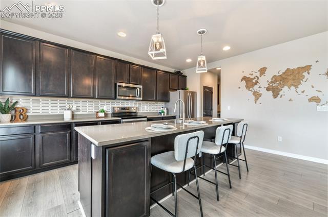 10751 Shavano Peak Court