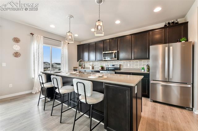 10751 Shavano Peak Court