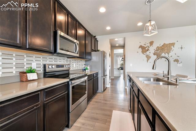 10751 Shavano Peak Court