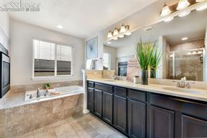 10751 Shavano Peak Court