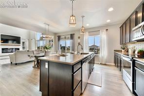 10751 Shavano Peak Court