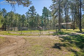 10870 Hardy Road