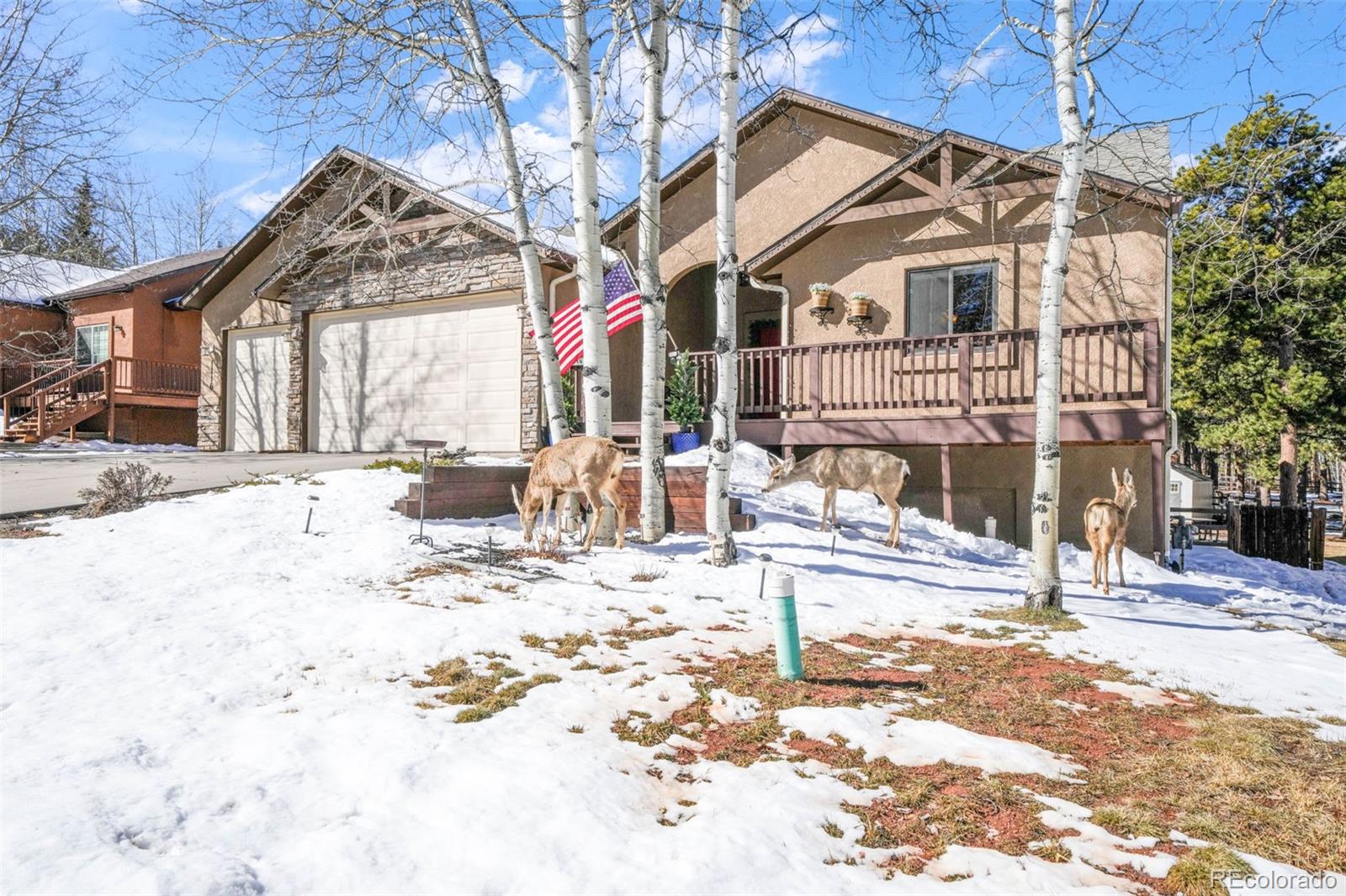 1116 Ptarmigan Drive