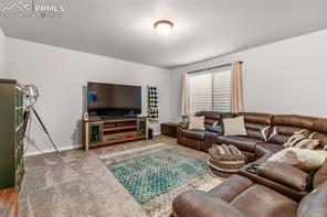 11211 Palmer Peak Place