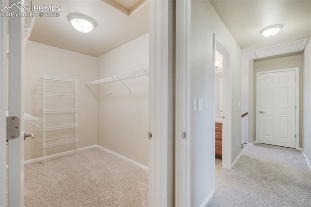 16911 Buffalo Valley Path