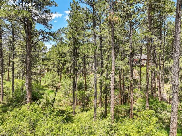 1180 Lone Scout Lookout