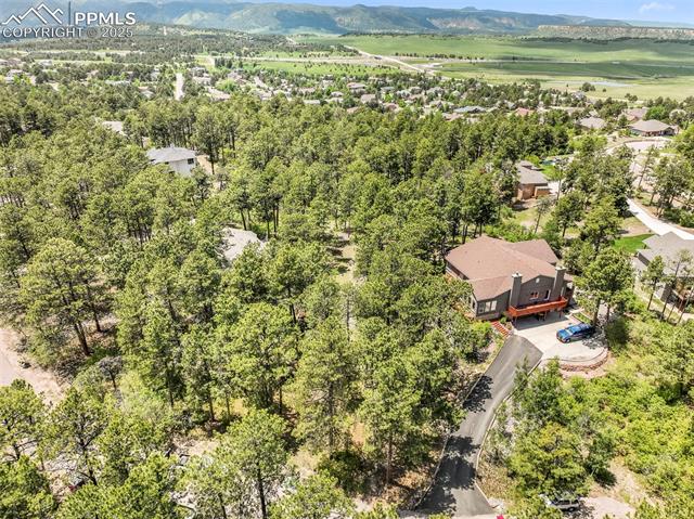 1180 Lone Scout Lookout