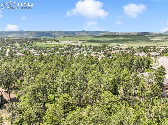 1180 Lone Scout Lookout