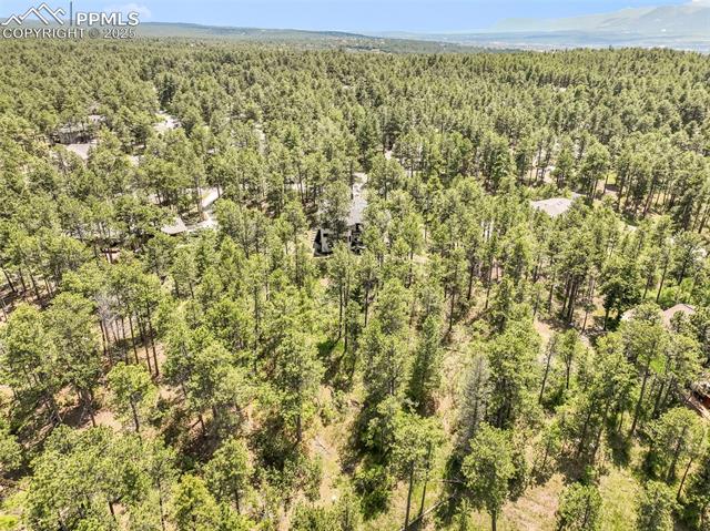 1180 Lone Scout Lookout