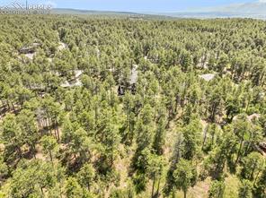 1180 Lone Scout Lookout