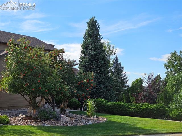 15155 Jessie Drive