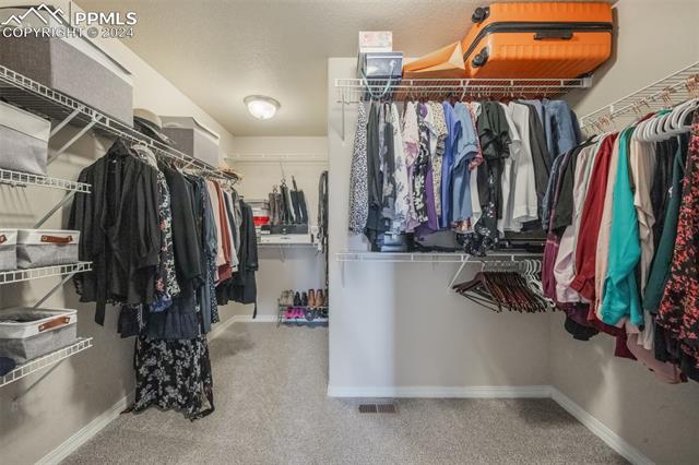 19870 Talking Rock Heights