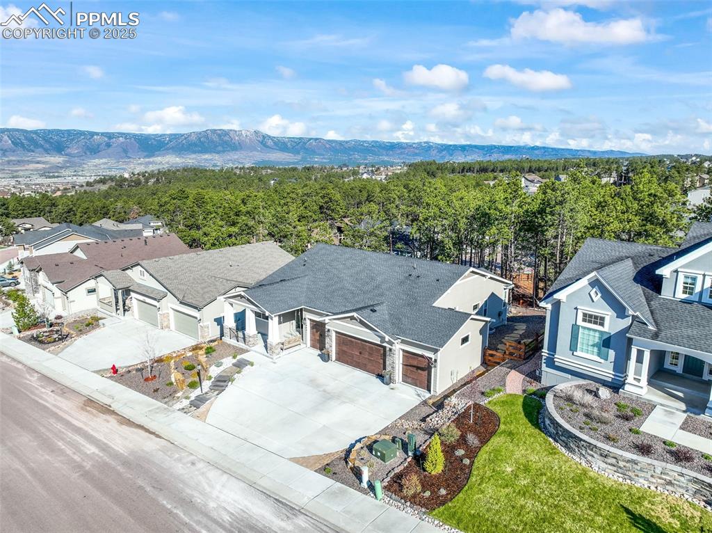 1004 Tree Bark Terrace