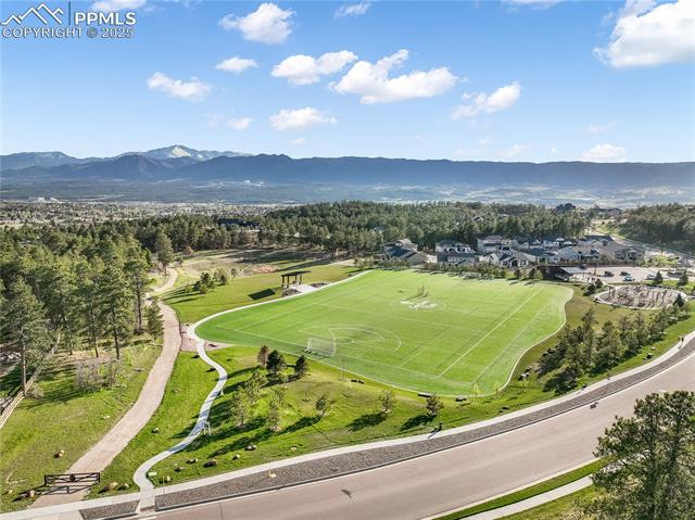 1004 Tree Bark Terrace