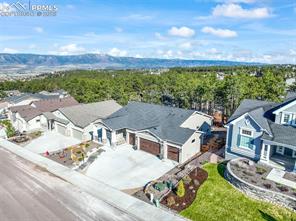 1004 Tree Bark Terrace