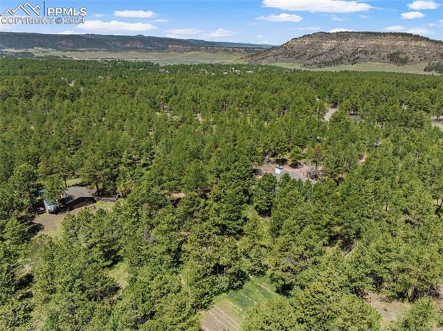 535 Silver Saddle Road